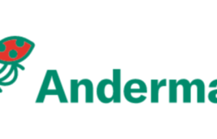 Andermatt Group AG